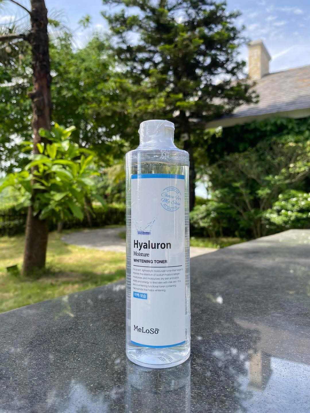 Hyaluron Meloso 300ml
